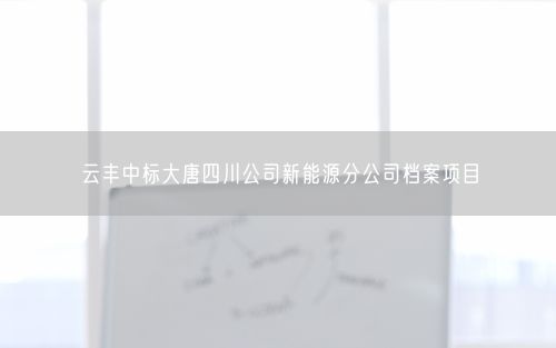 云丰中标大唐四川公司新能源分公司档案项目