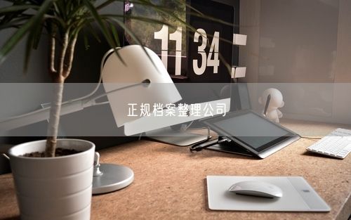 正规档案整理公司