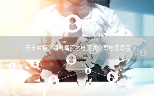 云丰中标华润鸭嘴河水电开发公司档案项目