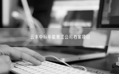 云丰中标华能雅江公司档案项目