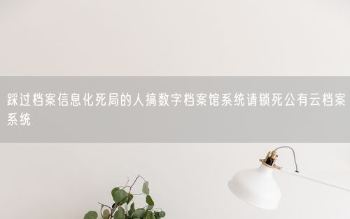 踩过档案信息化死局的人搞数字档案馆系统请锁死公有云档案系统