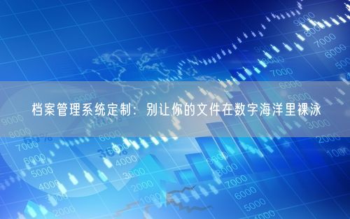 档案管理系统定制：别让你的文件在数字海洋里裸泳