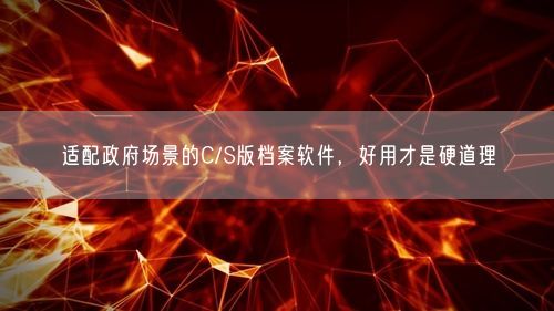 适配政府场景的C/S版档案软件，好用才是硬道理