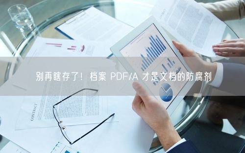别再瞎存了！档案 PDF/A 才是文档的防腐剂