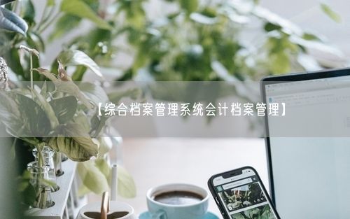 【综合档案管理系统会计档案管理】