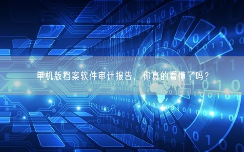 单机版档案软件审计报告,你真的看懂了吗?