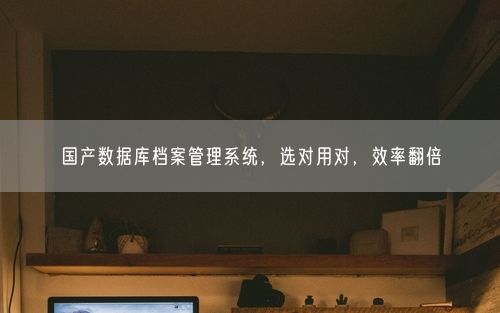 国产数据库档案管理系统，选对用对，效率翻倍
