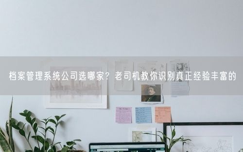 档案管理系统公司选哪家？老司机教你识别真正经验丰富的