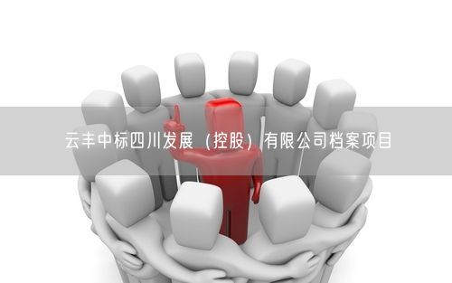 云丰中标四川发展（控股）有限公司档案项目