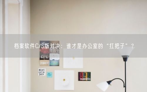 档案软件C/S版对决：谁才是办公室的“扛把子”？