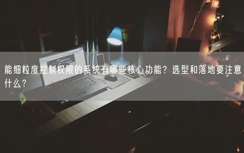 能细粒度控制权限的系统有哪些核心功能？选型和落地要注意什么？