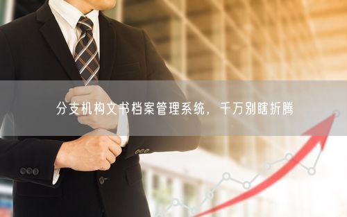 分支机构文书档案管理系统,千万别瞎折腾