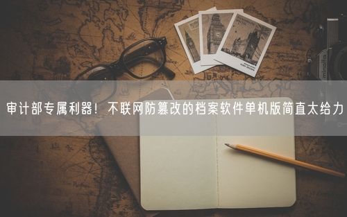 审计部专属利器！不联网防篡改的档案软件单机版简直太给力