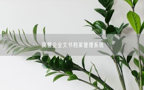 民营企业文书档案管理系统