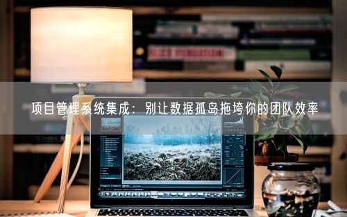 项目管理系统集成：别让数据孤岛拖垮你的团队效率