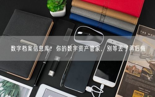 数字档案信息库:你的数字资产管家,别等丢了再后悔