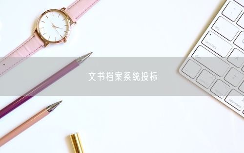 文书档案系统投标