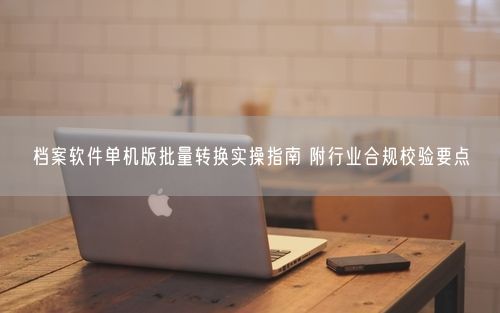 档案软件单机版批量转换实操指南 附行业合规校验要点