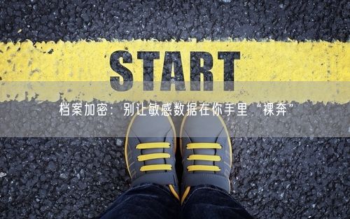 档案加密：别让敏感数据在你手里“裸奔”