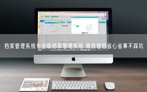 档案管理系统专业版档案管理系统 高效管档省心省事不踩坑