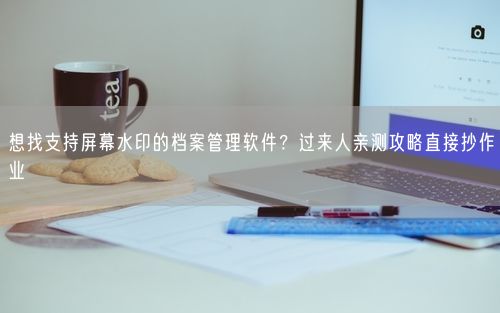 想找支持屏幕水印的档案管理软件?过来人亲测攻略直接抄作业