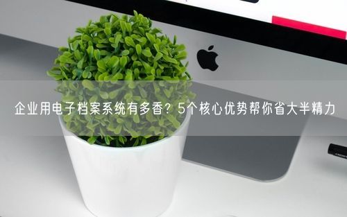 企业用电子档案系统有多香？5个核心优势帮你省大半精力