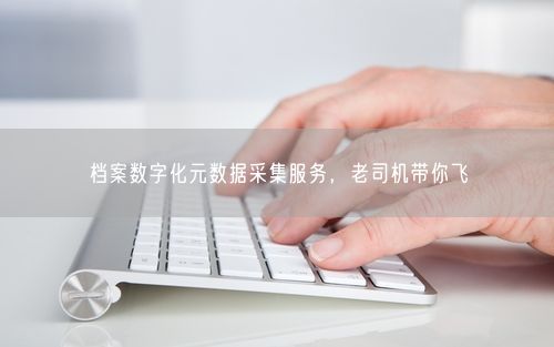 档案数字化元数据采集服务，老司机带你飞