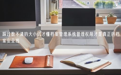 踩过数不清的大小坑才懂档案管理系统管理权限才是真正的档案安全线
