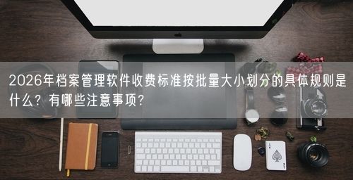 2026年档案管理软件收费标准按批量大小划分的具体规则是什么？有哪些注意事项？