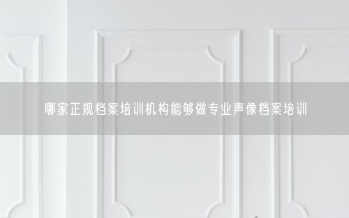 哪家正规档案培训机构能够做专业声像档案培训