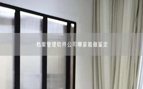 档案管理软件公司哪家能做鉴定