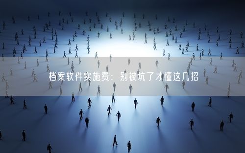 档案软件实施费：别被坑了才懂这几招