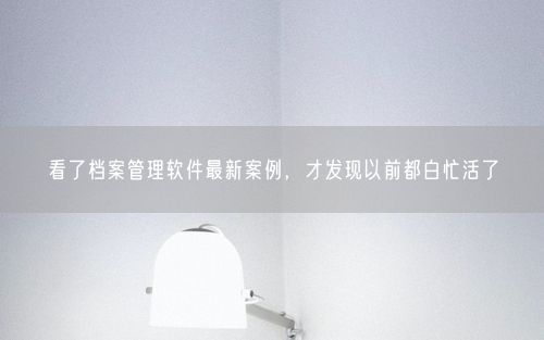 看了档案管理软件最新案例,才发现以前都白忙活了