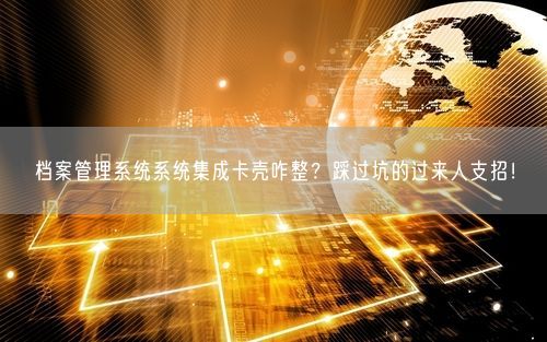 档案管理系统系统集成卡壳咋整？踩过坑的过来人支招！