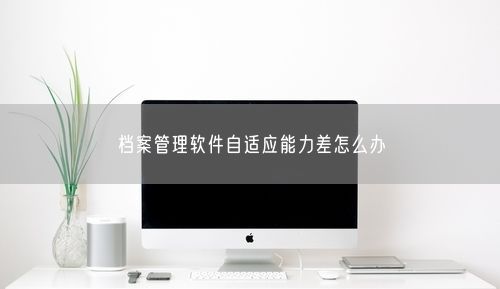 档案管理软件自适应能力差怎么办