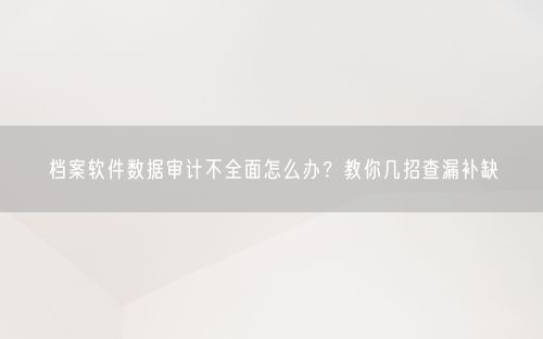 档案软件数据审计不全面怎么办？教你几招查漏补缺