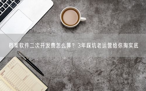 档案软件二次开发费怎么算？3年踩坑老运营给你掏实底