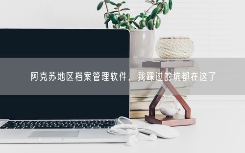 阿克苏地区档案管理软件，我踩过的坑都在这了