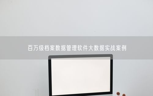 百万级档案数据管理软件大数据实战案例