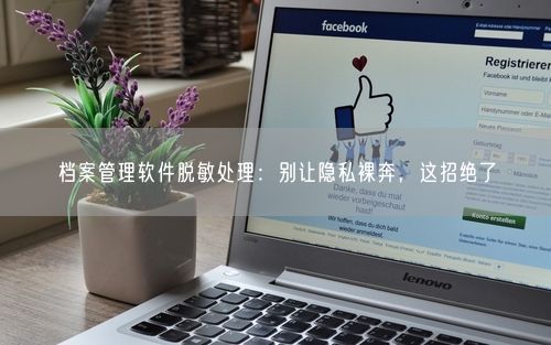 档案管理软件脱敏处理：别让隐私裸奔，这招绝了