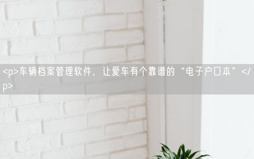 <p>车辆档案管理软件，让爱车有个靠谱的“电子户口本”</p>