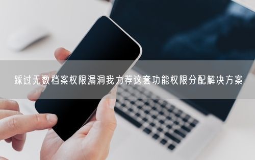 踩过无数档案权限漏洞我力荐这套功能权限分配解决方案
