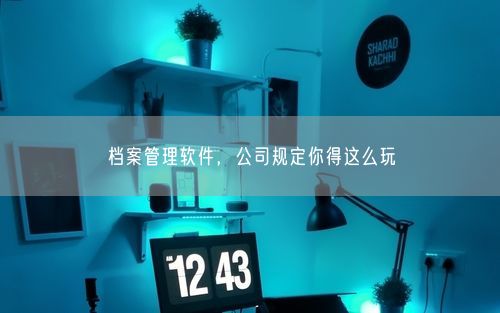 档案管理软件，公司规定你得这么玩