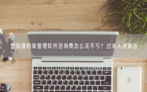 想知道档案管理软件咨询费怎么花不亏?过来人讲真话