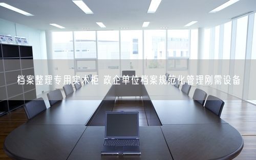 档案整理专用实木柜 政企单位档案规范化管理刚需设备