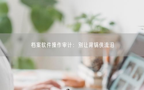 档案软件操作审计:别让背锅侠流泪
