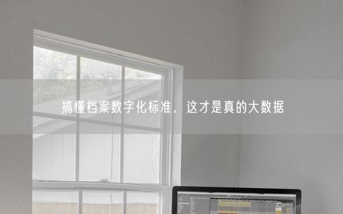 搞懂档案数字化标准，这才是真的大数据