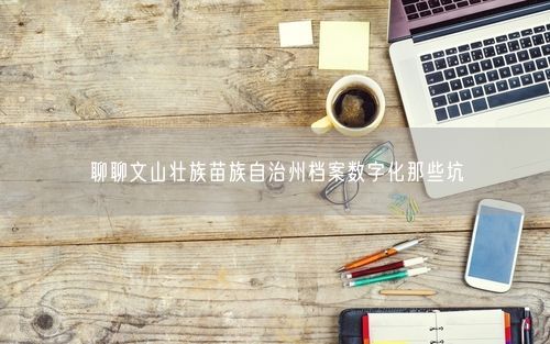 聊聊文山壮族苗族自治州档案数字化那些坑
