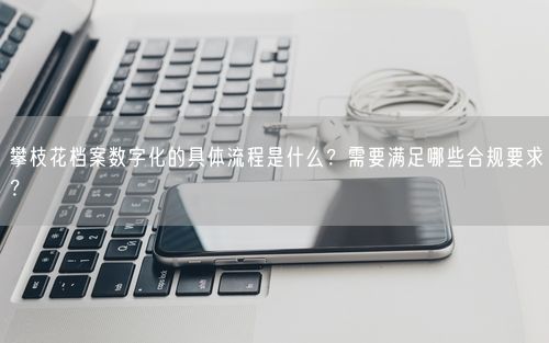 攀枝花档案数字化的具体流程是什么？需要满足哪些合规要求？