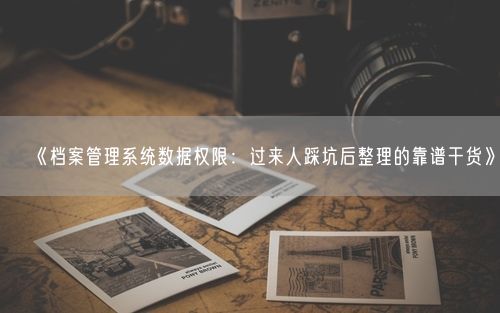 《档案管理系统数据权限：过来人踩坑后整理的靠谱干货》